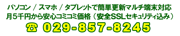 HP _ސ쌧 sΰ߰ލ쐬 kawasaki Web HomePage Design